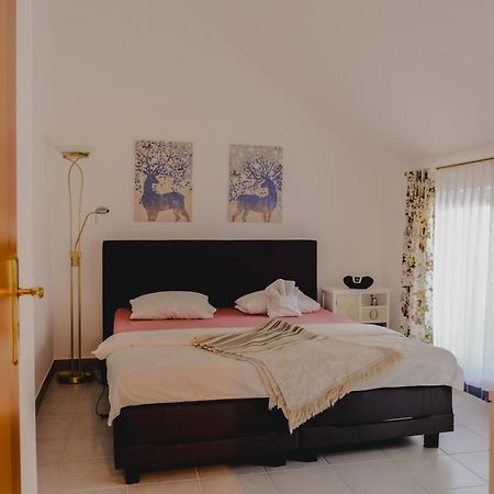Terrace Apartment Near Volksoper And City Centre 维也纳 外观 照片