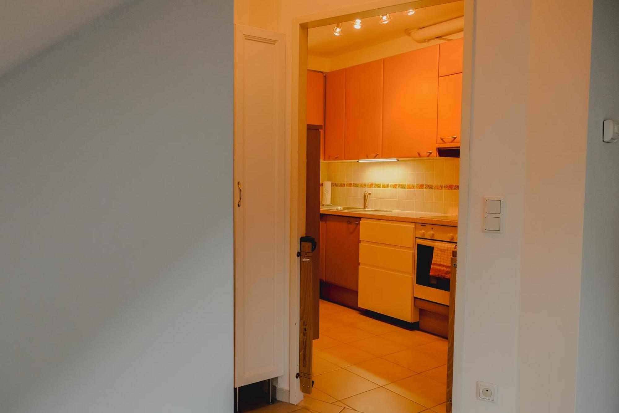 Terrace Apartment Near Volksoper And City Centre 维也纳 外观 照片