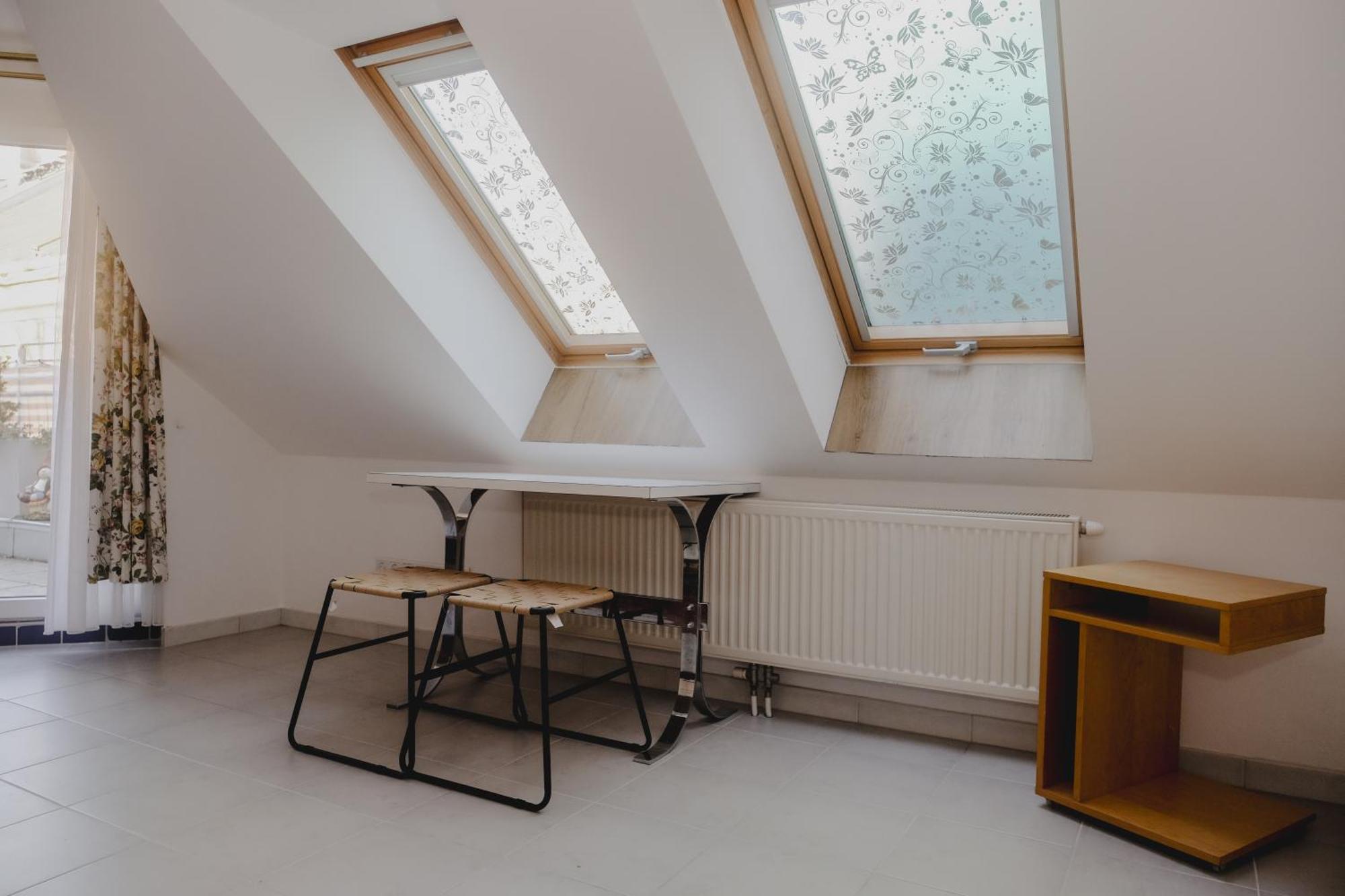 Terrace Apartment Near Volksoper And City Centre 维也纳 外观 照片