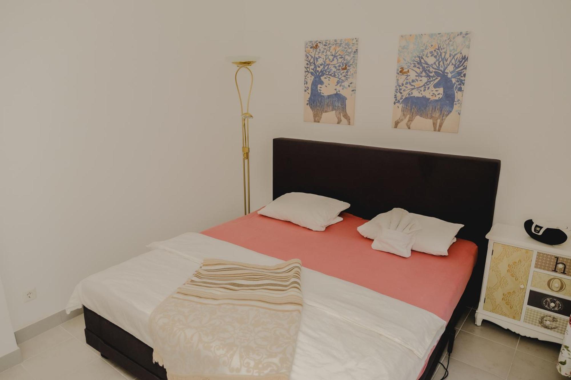 Terrace Apartment Near Volksoper And City Centre 维也纳 外观 照片
