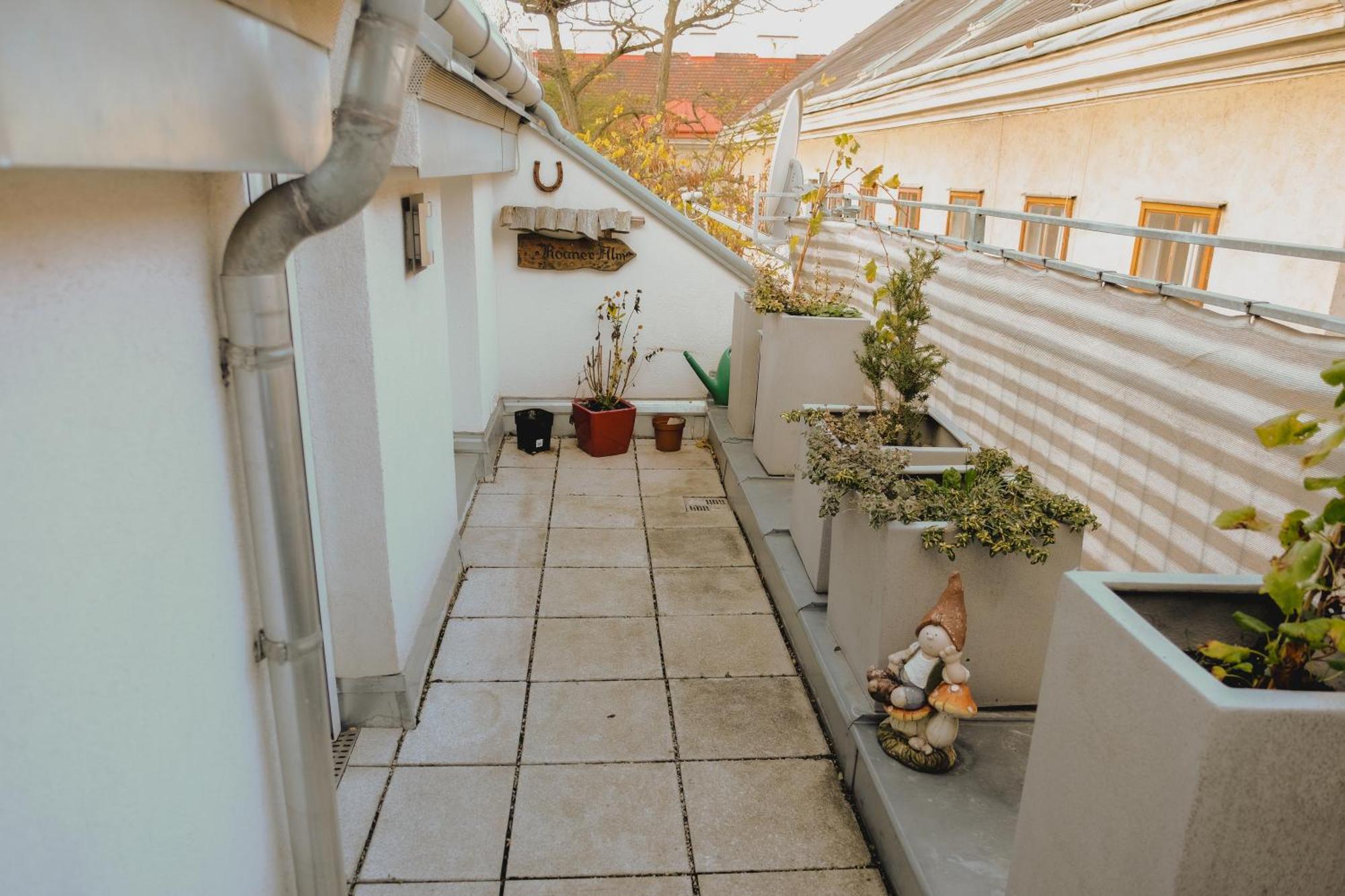 Terrace Apartment Near Volksoper And City Centre 维也纳 外观 照片